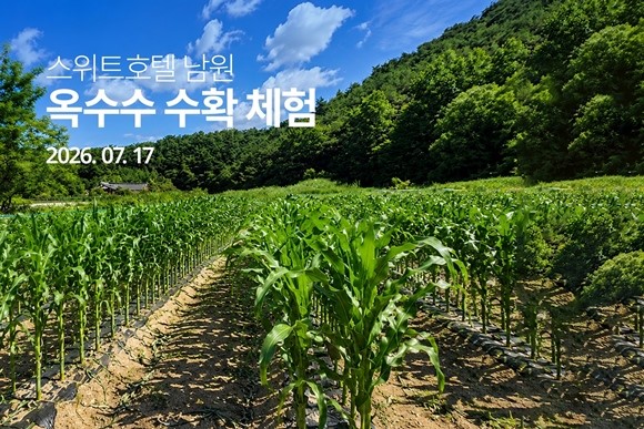뉴스이미지